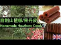 Download Lagu Homemade Hawthorn Candy | 自制山楂糕、果丹皮 | 英國生活