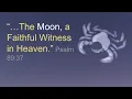 Download Lagu For Those Longing for the Lord's Return