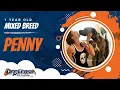 Penny 1-Year-Old Great Mix Board and Train