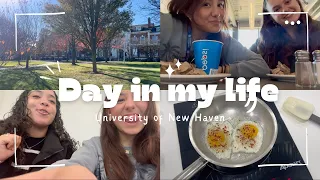 Day in My Life University of New Haven