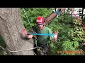 Speedlines Explained - TreeStuff Product Demonstration