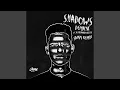 Download Lagu Shadows (Samm (BE) Remix)