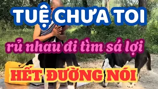 Rộ Lên Phong Trào Truy Tìm Sá Lợi Của Phật ất ơ 