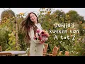 Lagu Alles over dahlia’s: van zaaien tot oogsten | complete dahlia masterclass