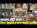 Download Lagu AYOO..YG LAGI CARI GACORAN, BUKPAR SAMPE SOBEK2 AND YG ANTIK BIN LANGKA, SATSET BOLO