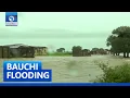Download Lagu Flood Destroys Farms In Wailo, Ganjuwa LGA, Bauchi State