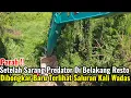 Parah‼️Setelah Sarang Predator Di Belakang Restoran Dibongkar Baru Terlihat Aliran Kali Wadas