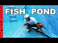 Download Lagu TIME for FISH in the POOL POND!