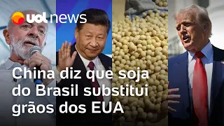 China diz que soja do Brasil substitui grãos dos EUA, após tarifas de Trump