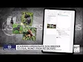 Scammers are impersonating real breeders to trick people into buying pets that don t exist