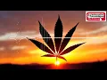 Download Lagu lagu selinting ganja ditangan-punk rock jalanan||@comeltv8438