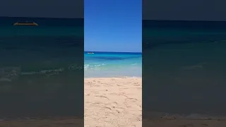 اوعي تقول فلان ده غيرهم لأحسن بكره تلاقيه منهم يالله ابعدنا عنهم اشتات اشتوت دنيا ملبشه مسلم 