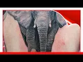 50 Geometric Elephant Tattoos Designs Ideas 2020 With Meaning