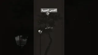 م ن ق لبي ي ا ح بيبة ق ل بي ب ت أدع و لربي أن يواسي و ي جير 
