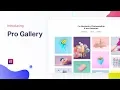 Elementor Pro Gallery Widget The Best Image Gallery Solution for WordPress