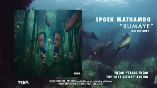 spoek mathambo bumaye