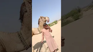 يزين صوته الهداره ماشاءالله تبارك الله Short Shortvideo Shortviral 