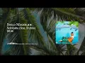 Stilo Magolide - Sefolosha (feat. Truhits) - [Visualizer]
