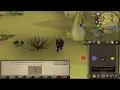 Osrs - 100m Subscriber Giveaway Enchanting Bolts Tip Closed