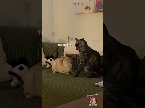 The Knighting of Sir Stinky Beans