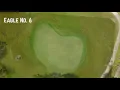 Okeeheelee Green Renovation Project - Eagle No 6