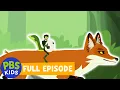 Wild Kratts FULL EPISODE Outfoxed PBS KIDS