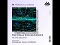 The Final Simulation