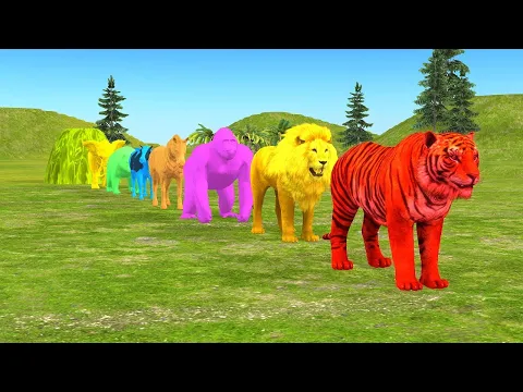 Download MP3 Long Slide Game With Elephant Gorilla Buffalo Hippopotamus Tiger - 3d Animal Game - Funny 3d Animals