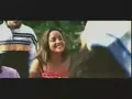 wiley - pies