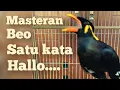 Download Lagu MASTERAN BEO, SATU KATA \