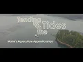 Tending the Tides 2025