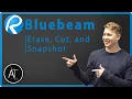 Erase Cut and Snapshot BLUEBEAM FOR ARCHITECTS