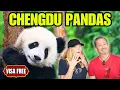 Chengdu Giant Panda Guide 2026 Travel Tips - China is VISA-FREE