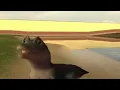 la la la la la crocodile meme