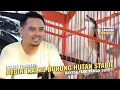 Lagu [ Cendet PREDATOR ] Begini Jadinya Kalau Burung Hutan Stabil Juara !! Ditawar Dari Berbagai Kota