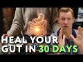 The 6-Step Protocol to HEAL Your Gut Permanently