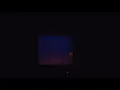 Sia - Fire Meet Gasoline (Live from the Fuji Rock Festival)