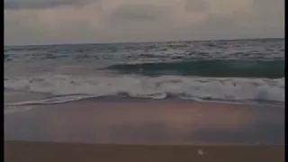 فاكر يا حبيبي في يوم ما سبتيني امشي ودموعي بعيني 