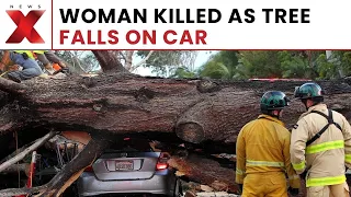 Indore Rain Tragedy: Woman Dies After Tree Falls On Car | NewsX