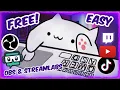 How To Get Bongocat Cam OBS Streamlabs 2025 - The Easy Way