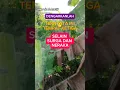 Download Lagu Dengarkan ternyata ini tempat ke3 selain surga dan neraka#surga#shorts
