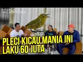 Lagu Akhirnya Prio Excellent Bahas Pleci, Bareng Pleci Mania Bandung Selatan