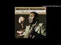 Muddy Waters - I'm A King Bee