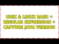 Unix Linux bash regular expression capture java version 2 Solutions