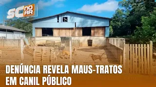 ONG denuncia maus-tratos e casos de envenenamento de animais em Meleiro