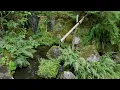 京都 侘寂と静寂 ７つの庭園 Wabi-Sabi and Stillness | Seven Hidden Japanese Gardens of Kyoto