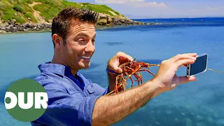 Gino Catches and Cooks Sardinian Seafood Gino s Italian Escape E15 Our Taste