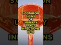 Lagu 5 Common Signs of Urinary Tract Infections (UTI) #urinarytractinfection #ytshorts #ytshortsindia