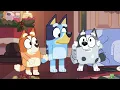 Bluey Holiday Full Episode ❤️ | Verandah Santa | S1 E52 | Full Episode | @disneyjr