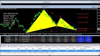 Watch this Harmonic Pattern Scanner in Action
